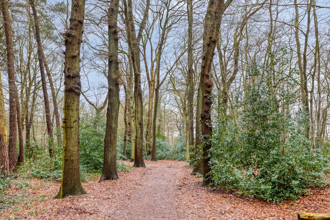 Foto 37 van Gerard Doustraat 101