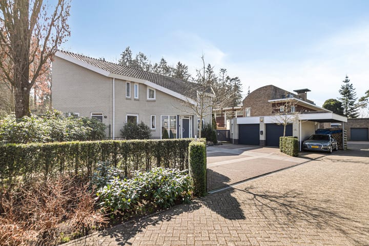 Foto 2 van Hagedoorn 44