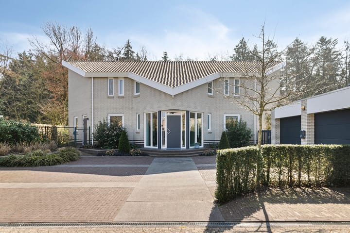 Foto 3 van Hagedoorn 44