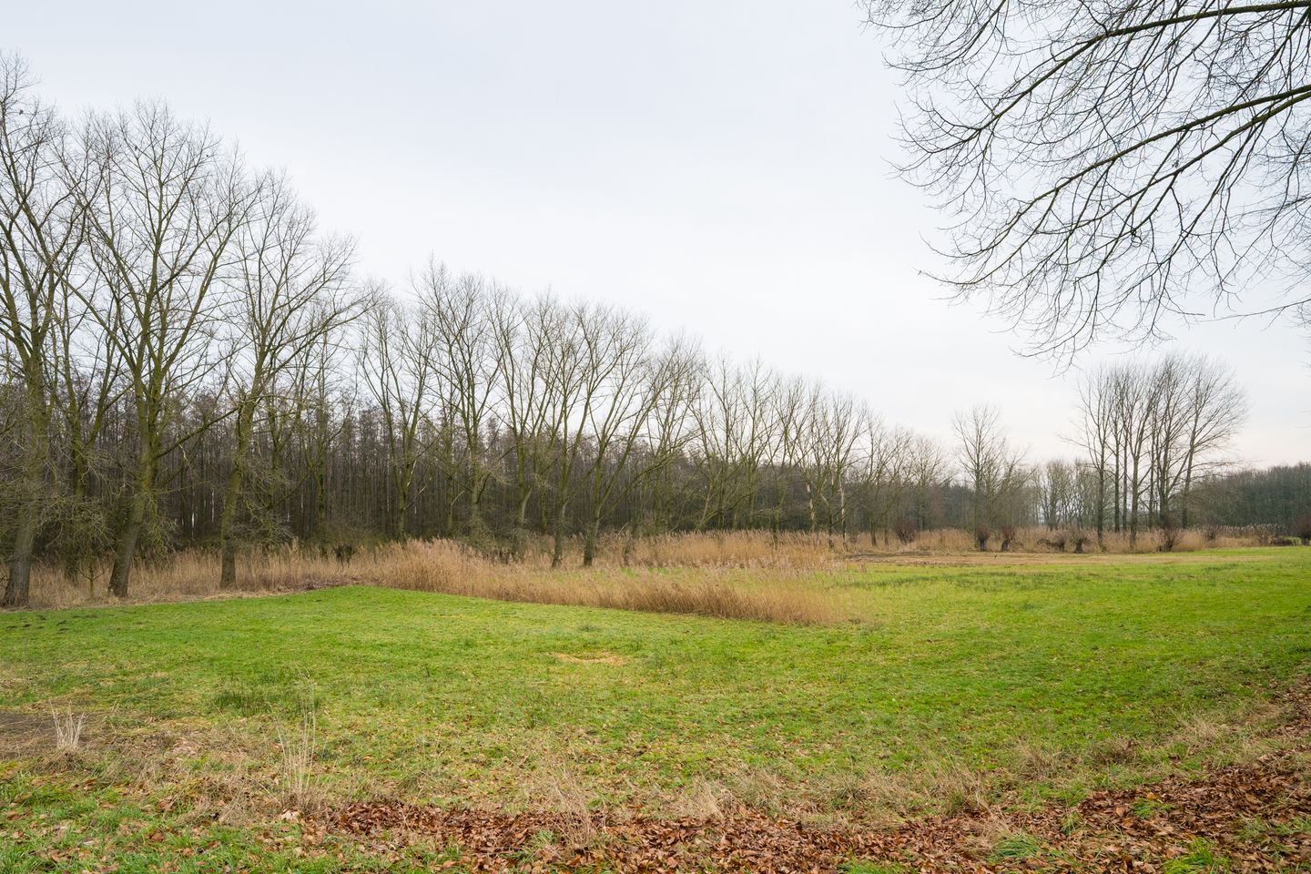 Foto 35 van Dr. Alfons Ariënsstraat 52