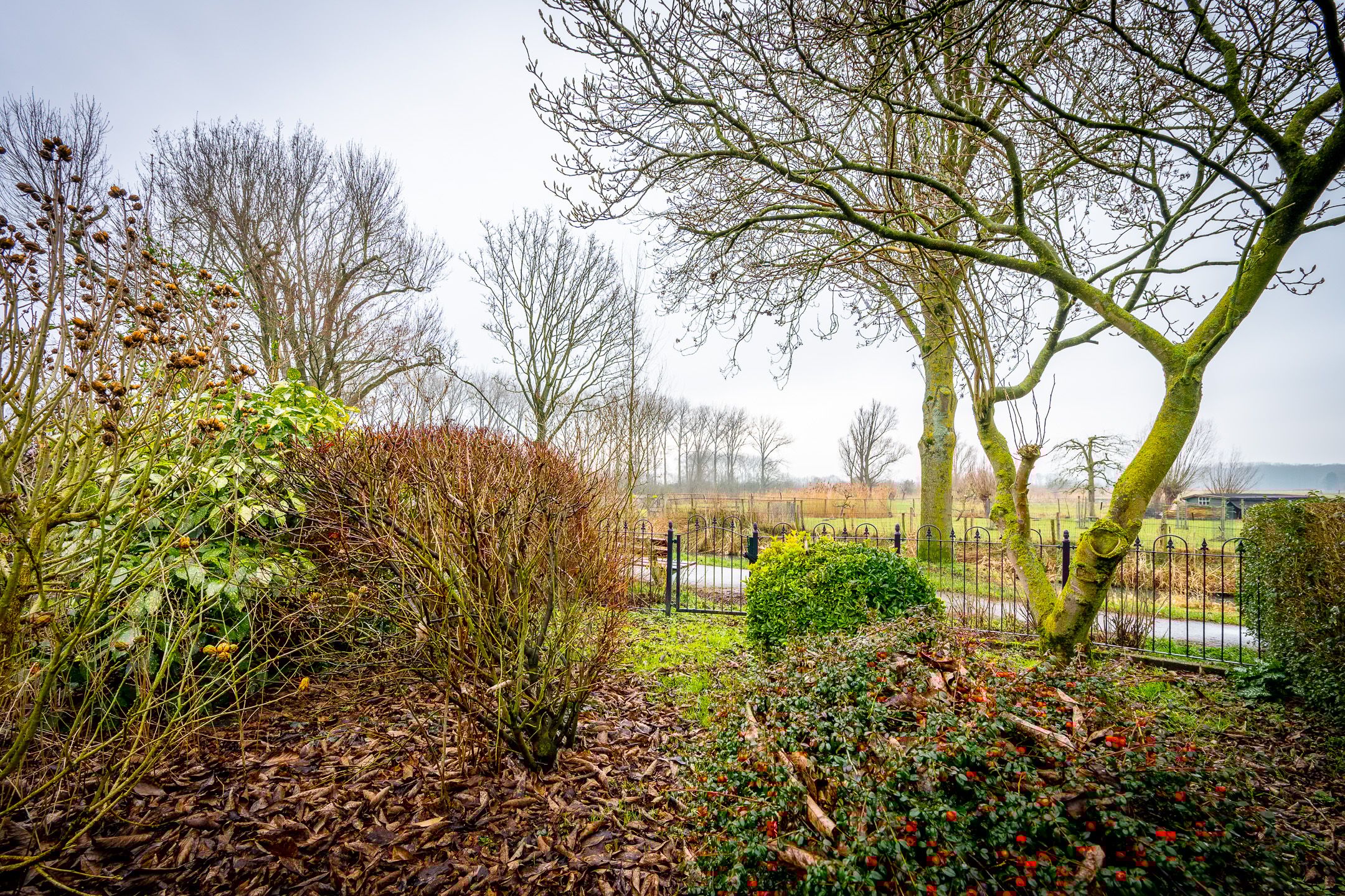 Foto 3 van Brugakker 1605