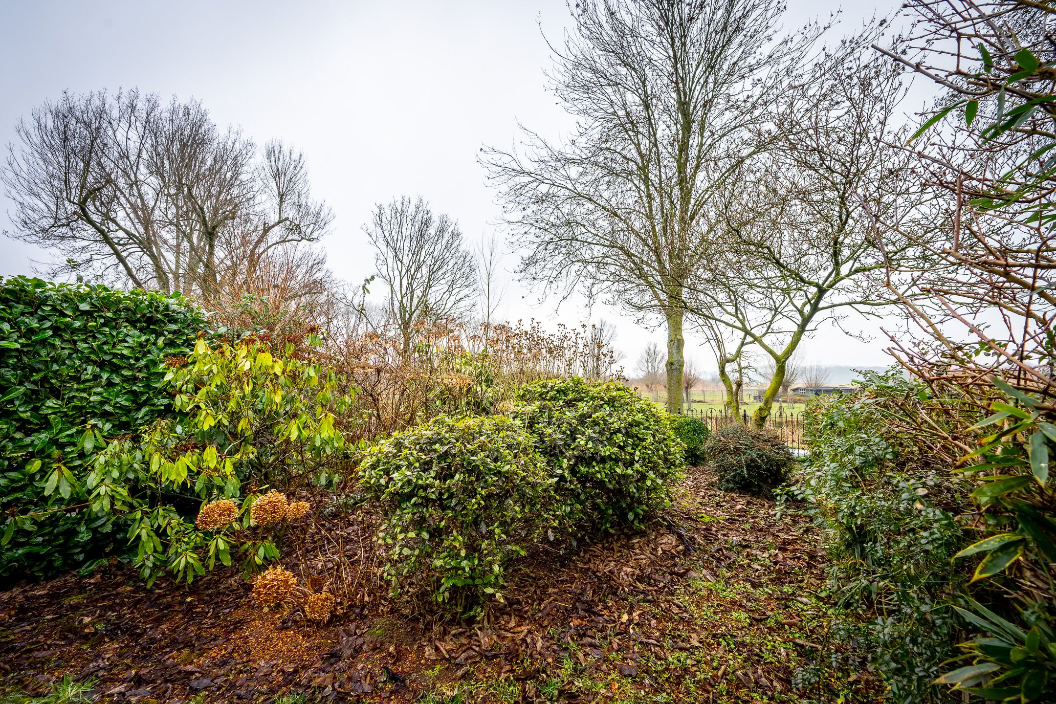 Foto 24 van Brugakker 1605