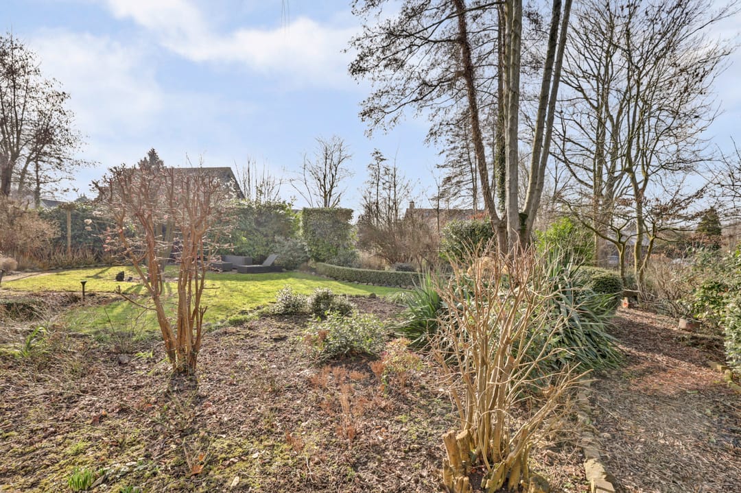 Foto 53 van Boslaan 113