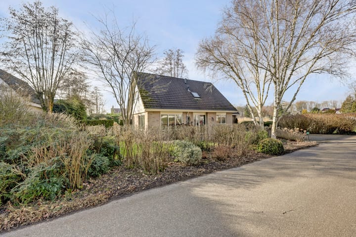 Foto 60 van Boslaan 113