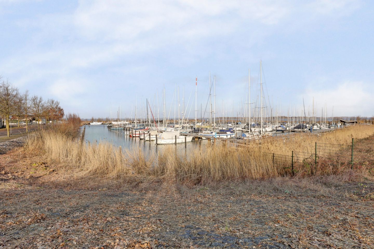 Foto 64 van Boslaan 113