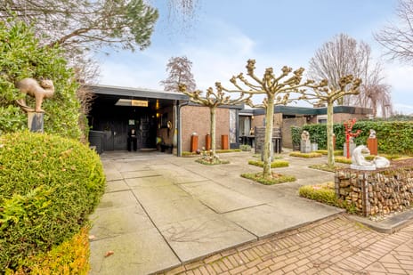 undefined main image