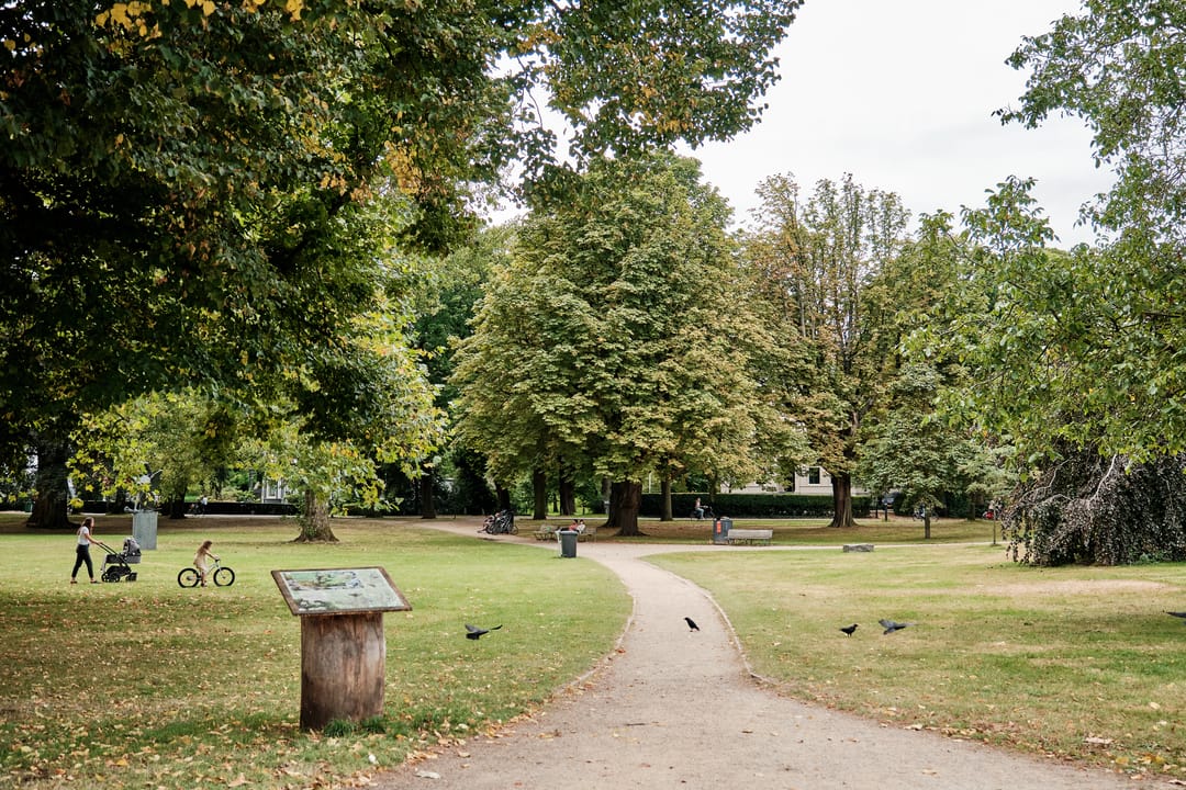 Photo 43 of Kenaustraat 7