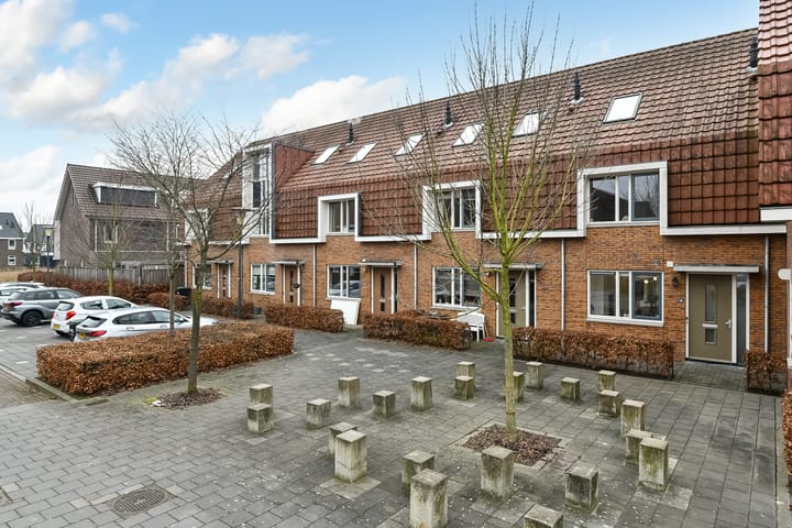 Foto 3 van Pijlkruid 18