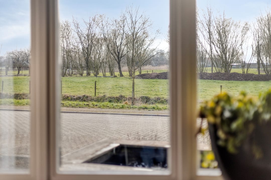 Photo 17 of Ruimoord 17