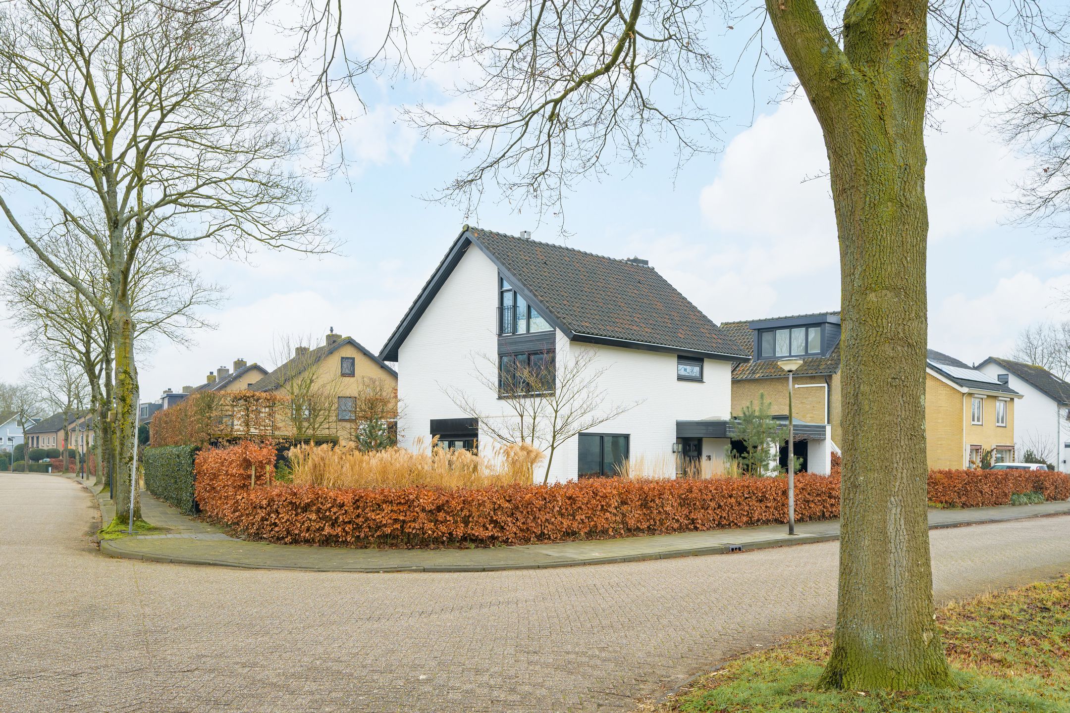 Photo 63 of Vennekes 26