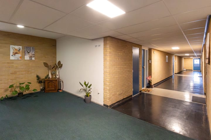 Foto 23 van Waddenstraat 297