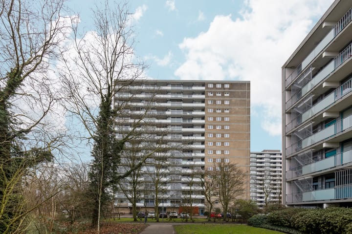 Foto 30 van Waddenstraat 297