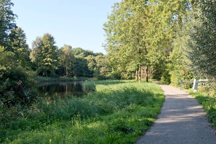 Foto 33 van Waddenstraat 297