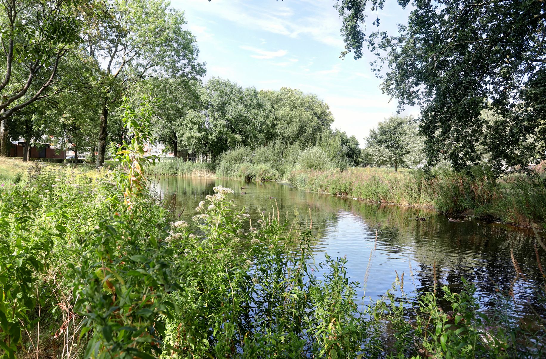 Foto 24 van Malvert 6913