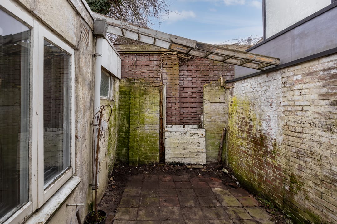 Photo 11 of Vijver 7