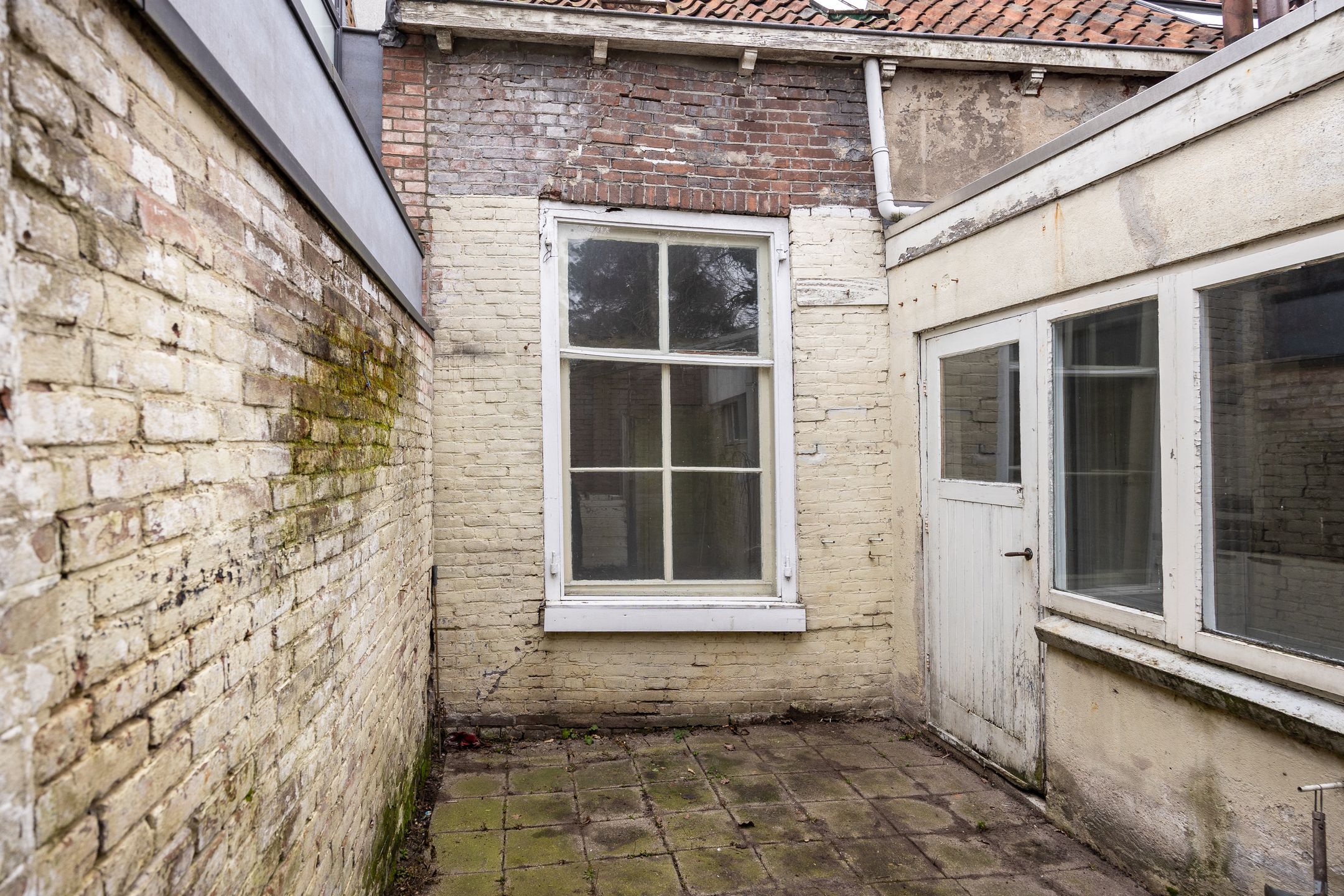 Photo 12 of Vijver 7