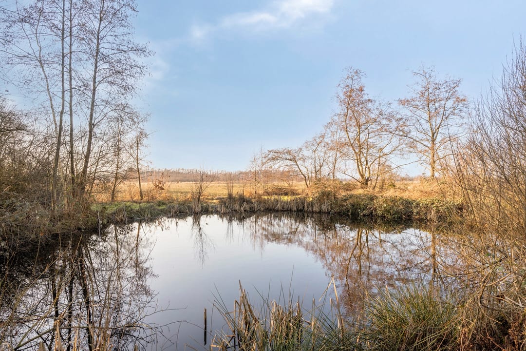 Photo 2 of Egelshoek 12