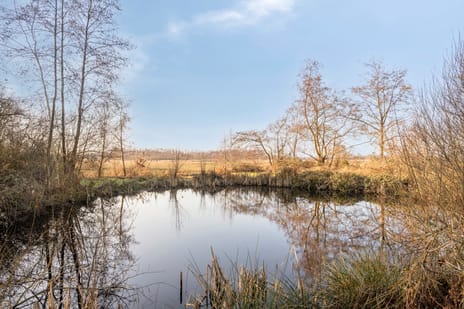 Egelshoek 12 secondary image