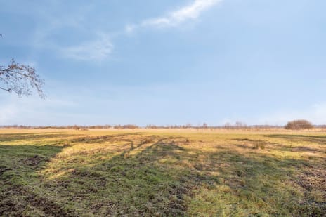 Egelshoek 12 tertiary image