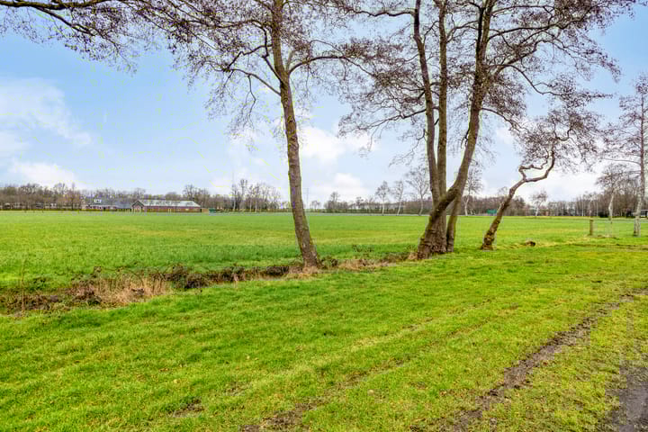 Foto 35 van Constantijn Huygensstraat 10