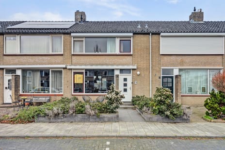 undefined main image