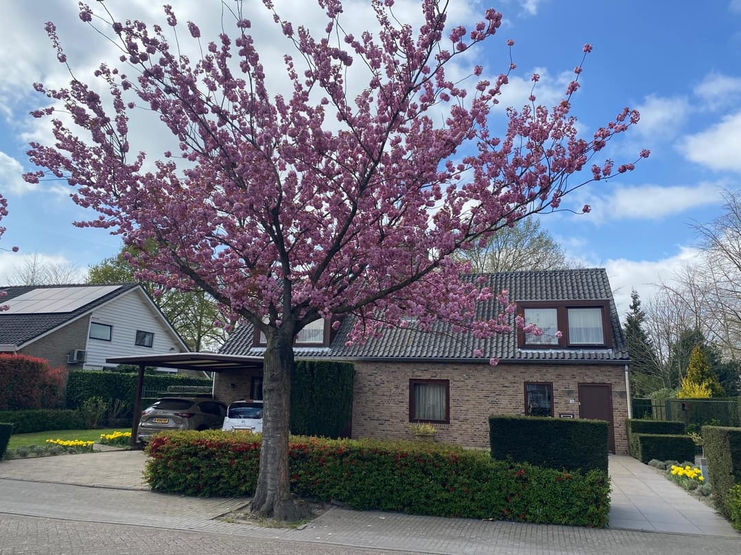 Foto 68 van Grote Hazelaar 14