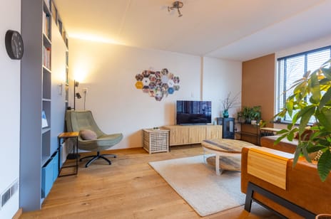 Winterkoninkje 61 secondary image