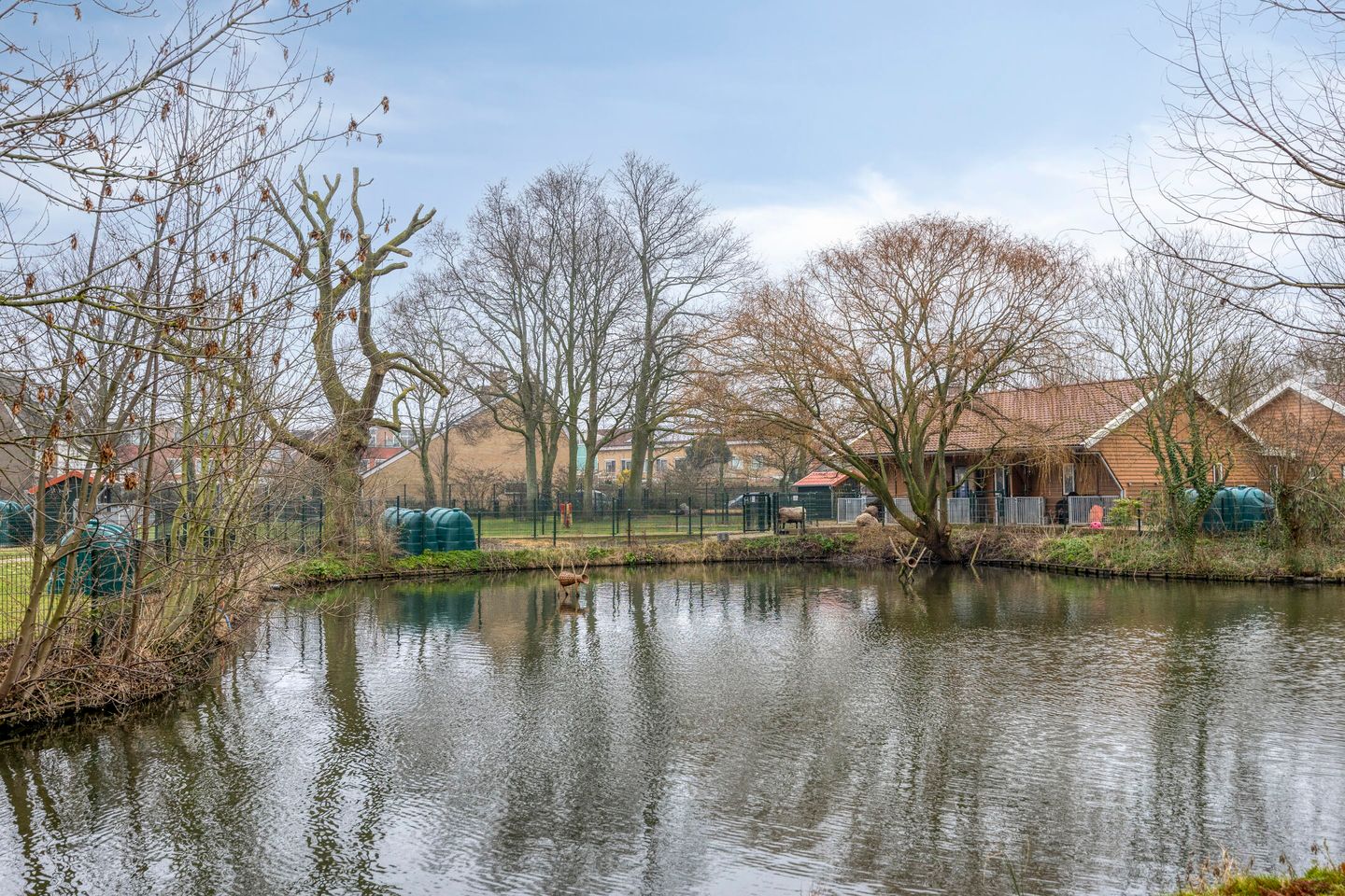 Photo 20 of Koning Willem III straat 16