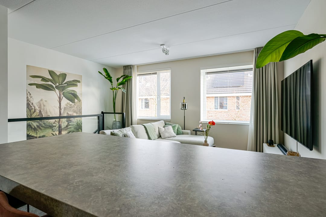 Foto 13 van Steur 12