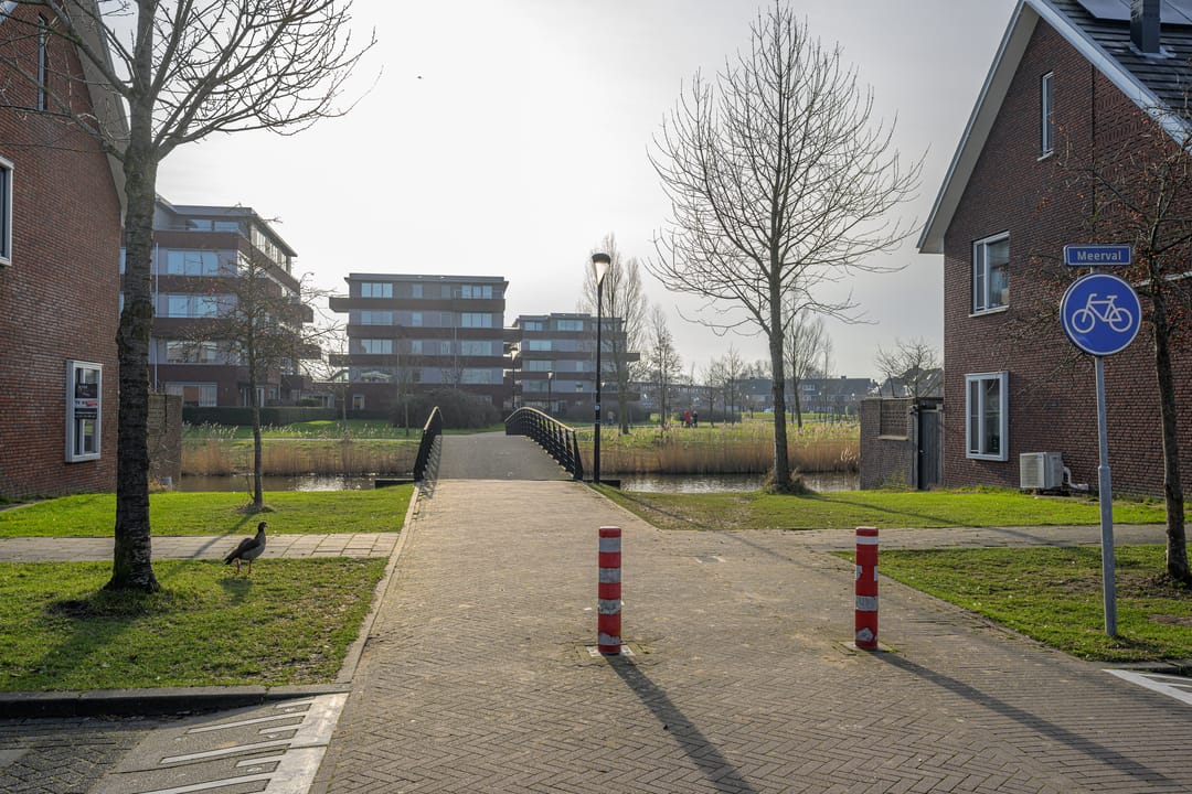 Foto 26 van Steur 12