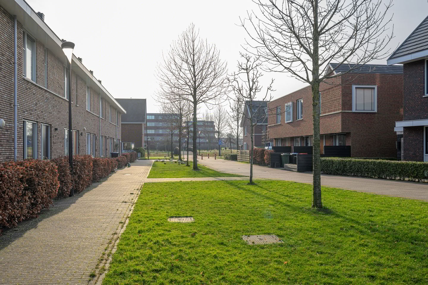 Foto 25 van Steur 12