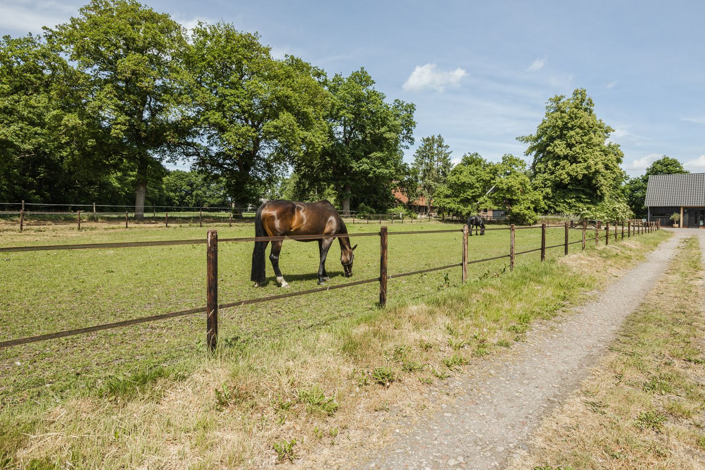 Foto 49 van Bruinehaarsweg 68