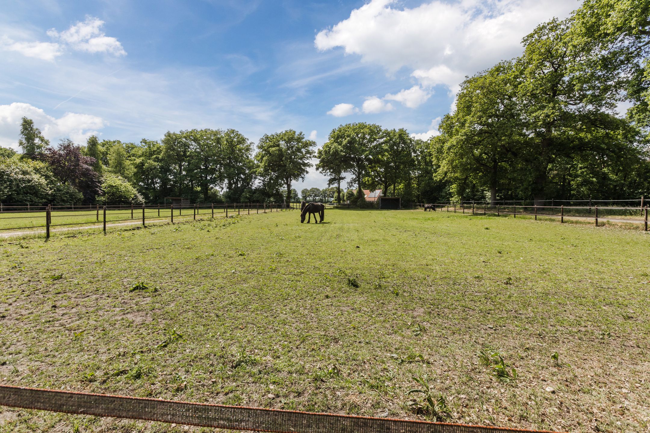 Foto 51 van Bruinehaarsweg 68