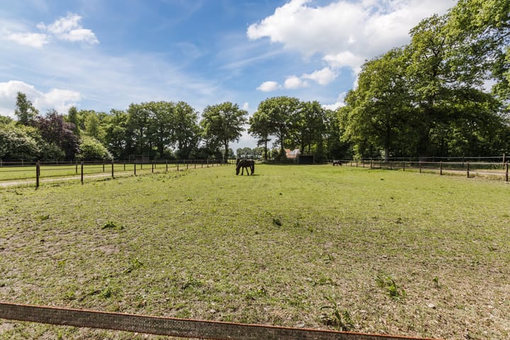 Foto 51 van Bruinehaarsweg 68