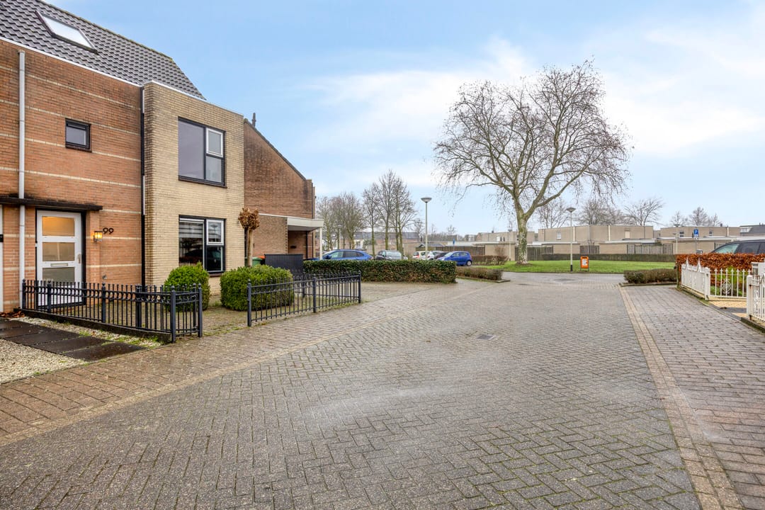 Photo 28 of Klimopberg 99