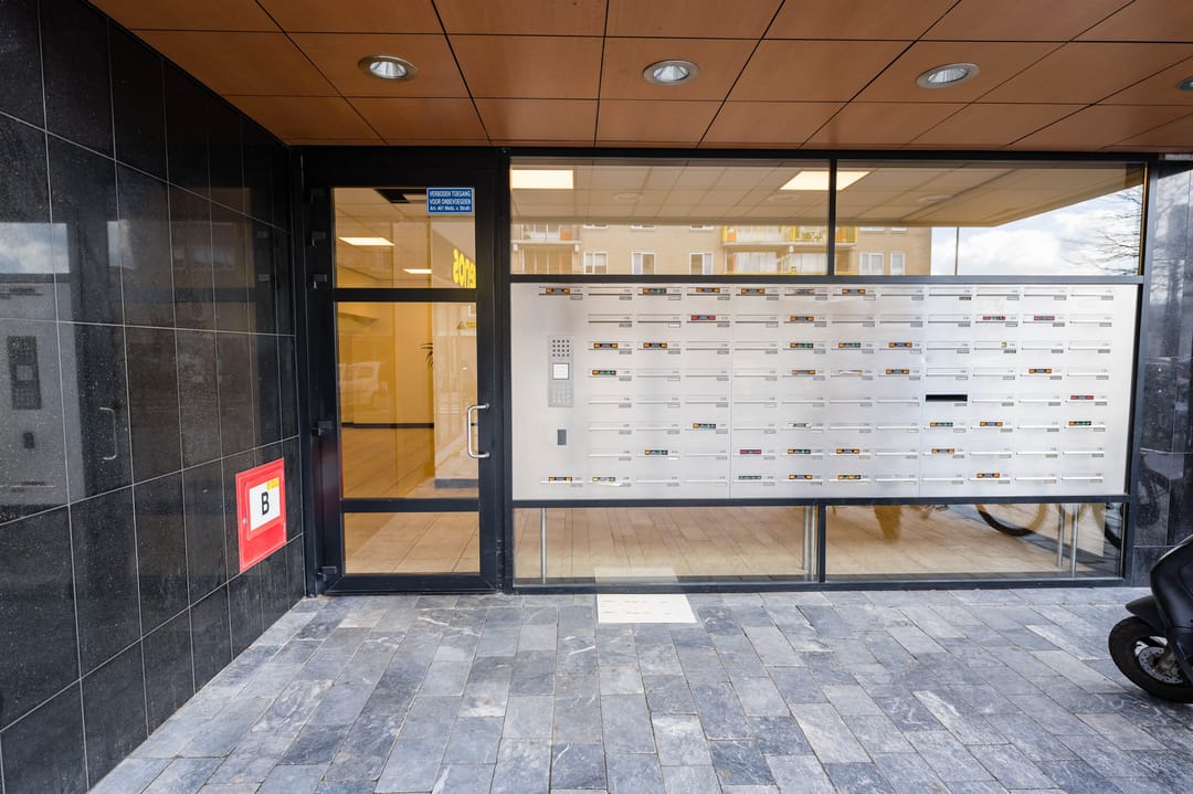 Foto 2 van Bisonspoor 2255