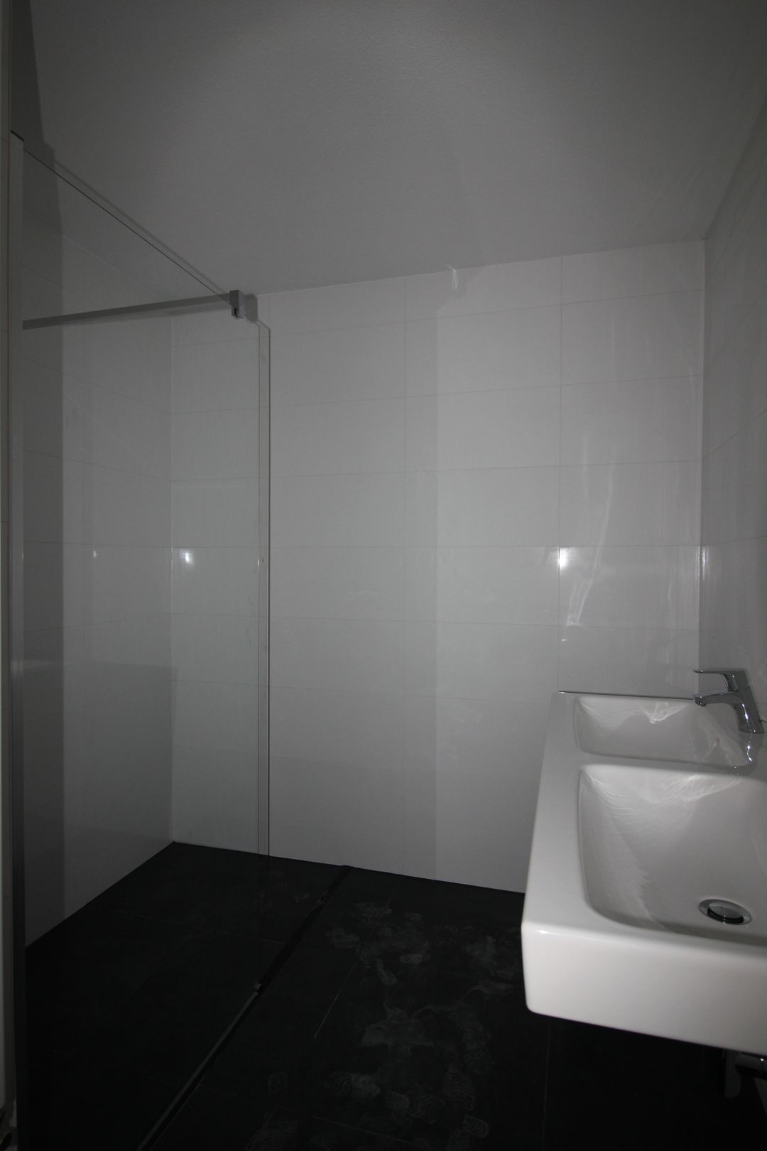 Foto 8 van Bisonspoor 2255