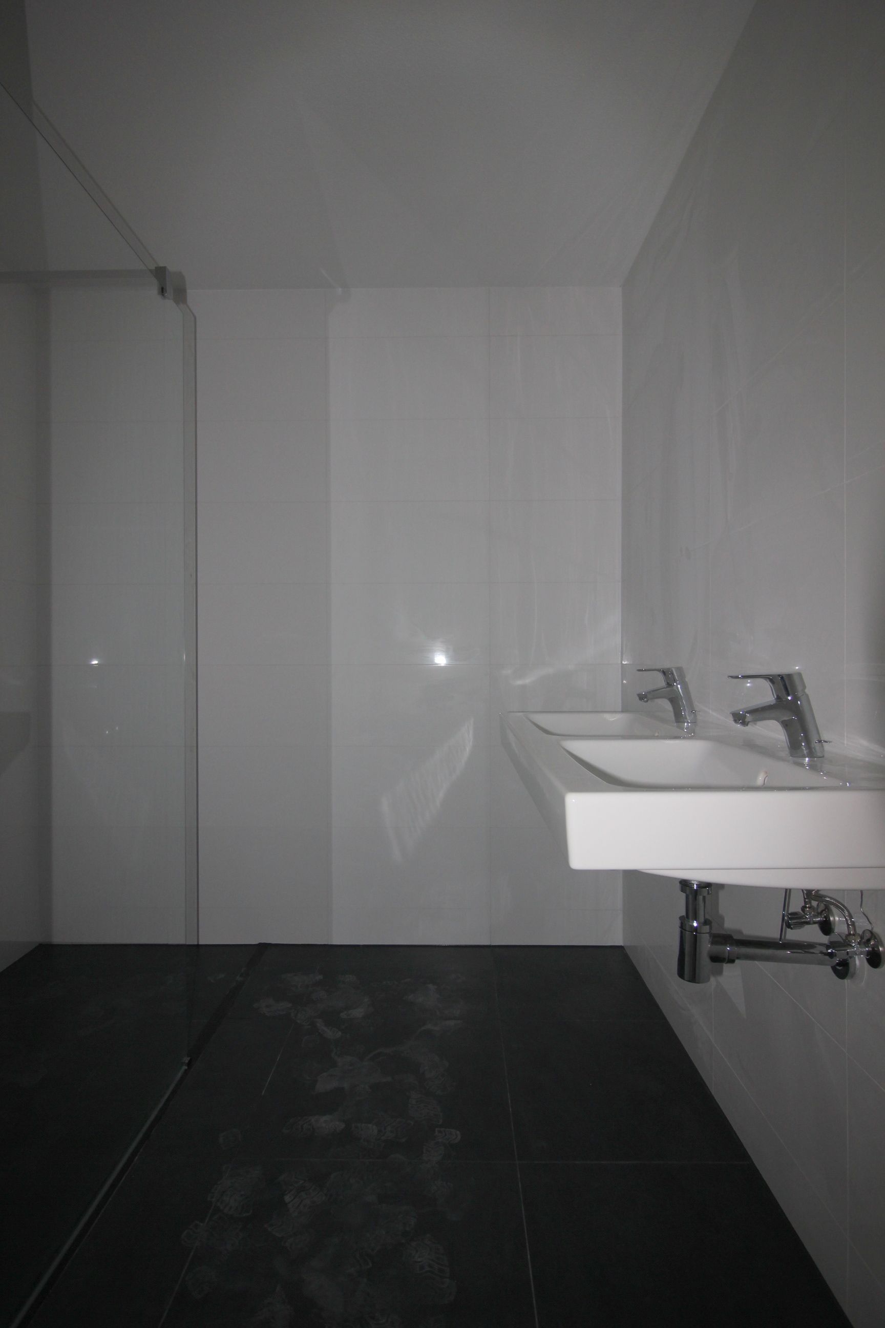 Foto 9 van Bisonspoor 2255