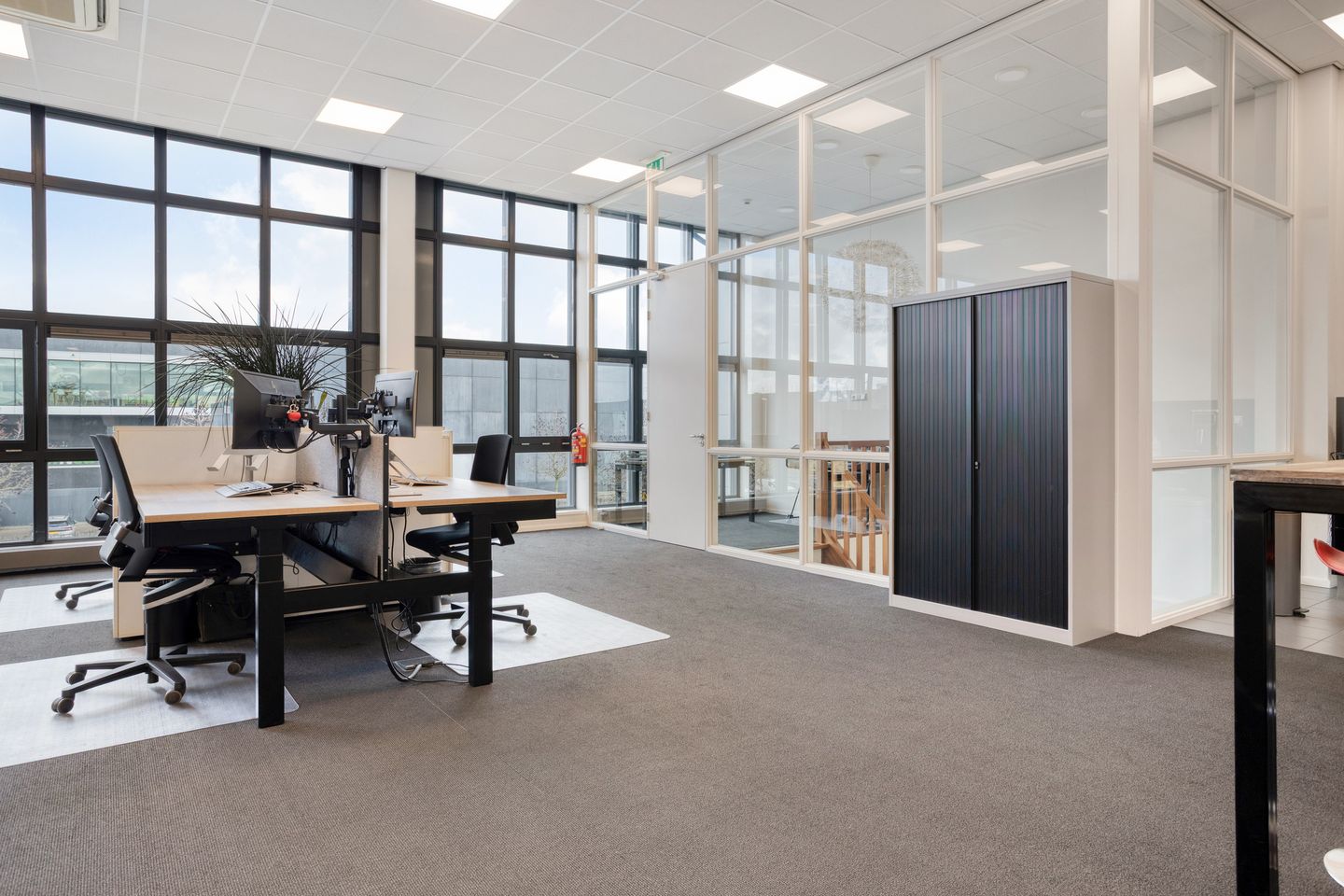 Bekijk foto 3 van Honderdland 382