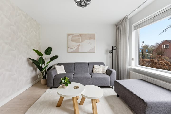 Photo 2 of Zwanebloem 29