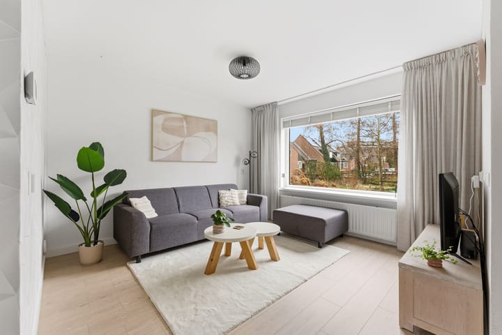 Photo 3 of Zwanebloem 29