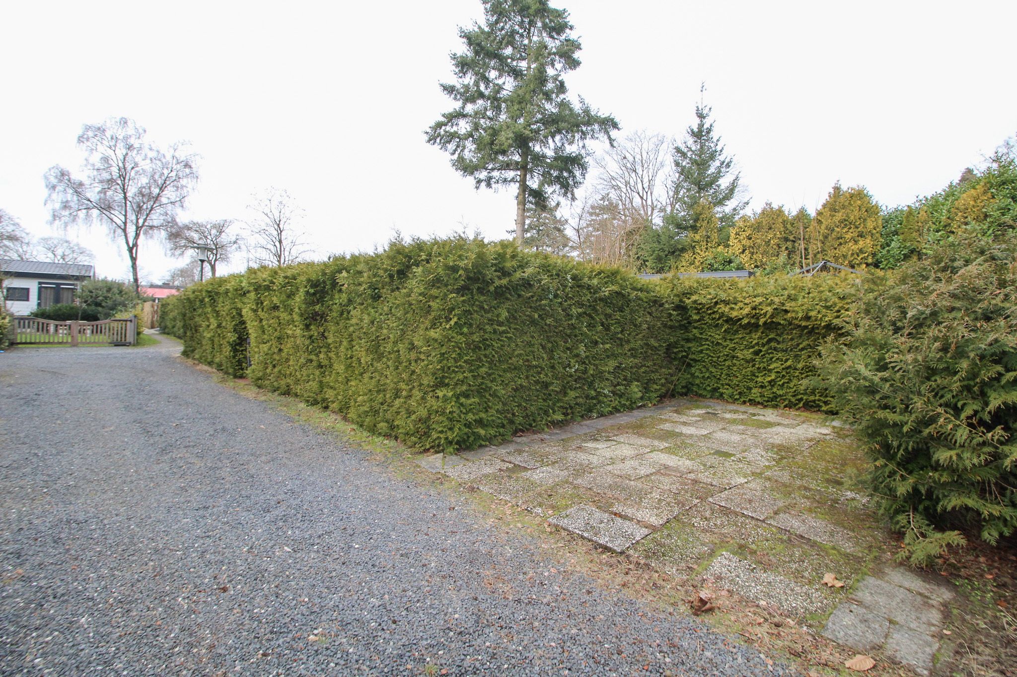 Foto 42 van Kieftveen 18-407