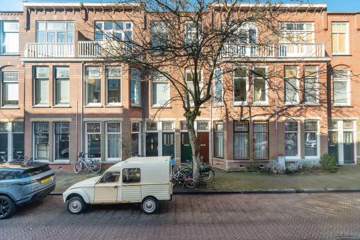 Van Loostraat 115 main image