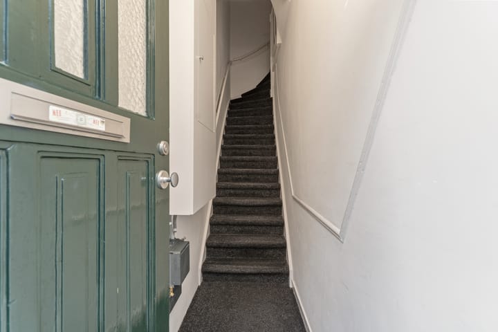 Foto 4 van Van Loostraat 115