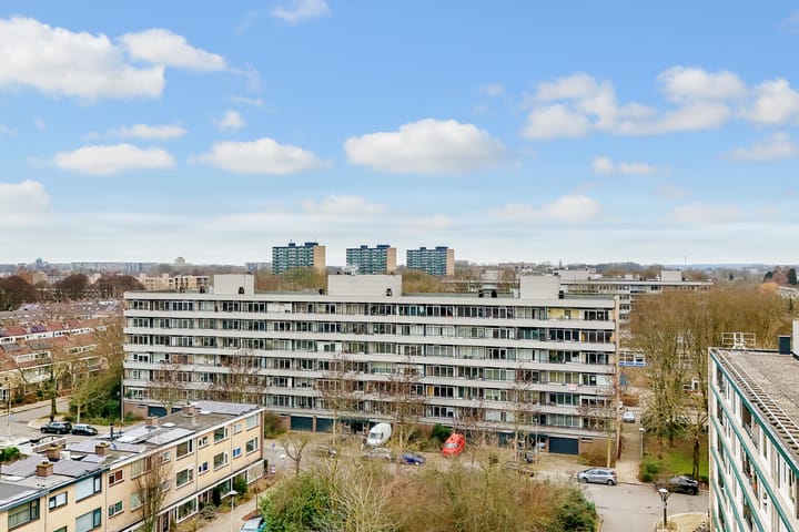 Foto 27 van Hijmans van den Berghlaan 138