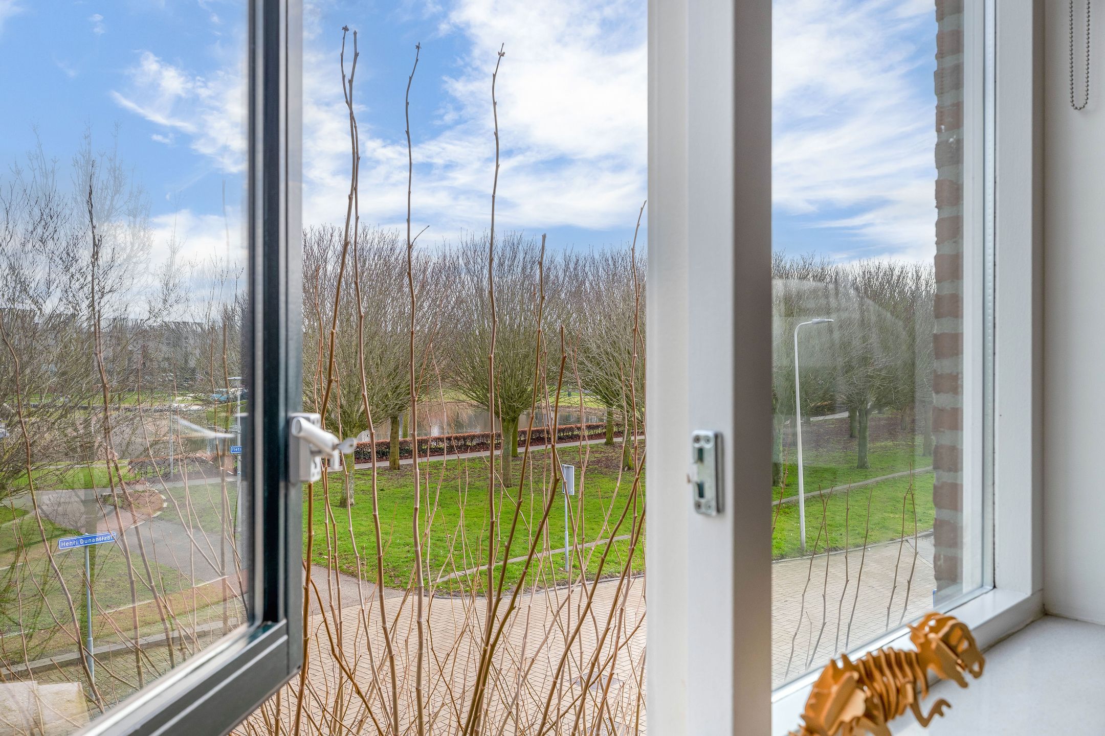 Photo 24 of Henri Dunantlaan 1