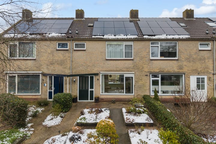 Graldastins 47 main image