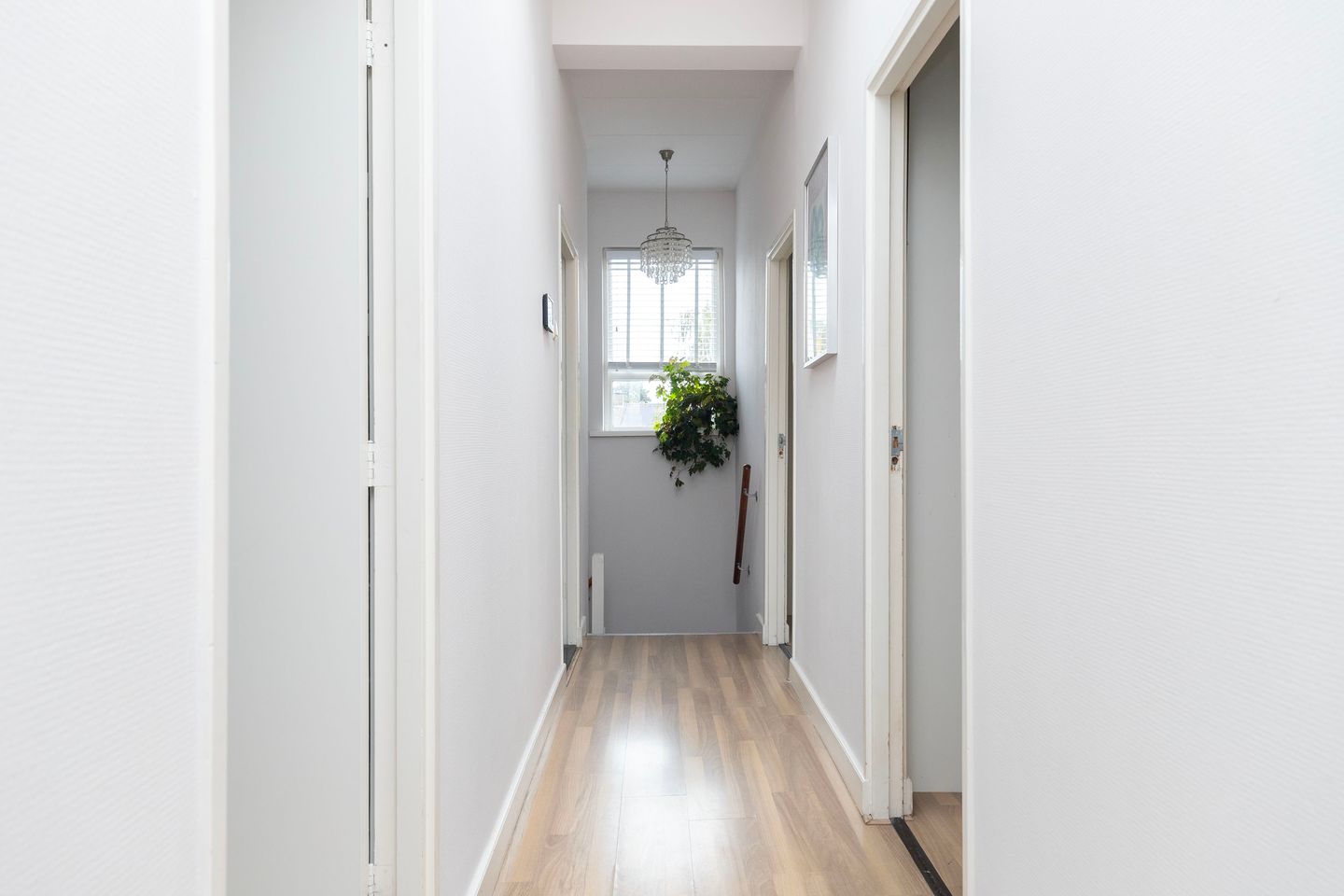 Foto 19 van Stuijvenburchstraat 60