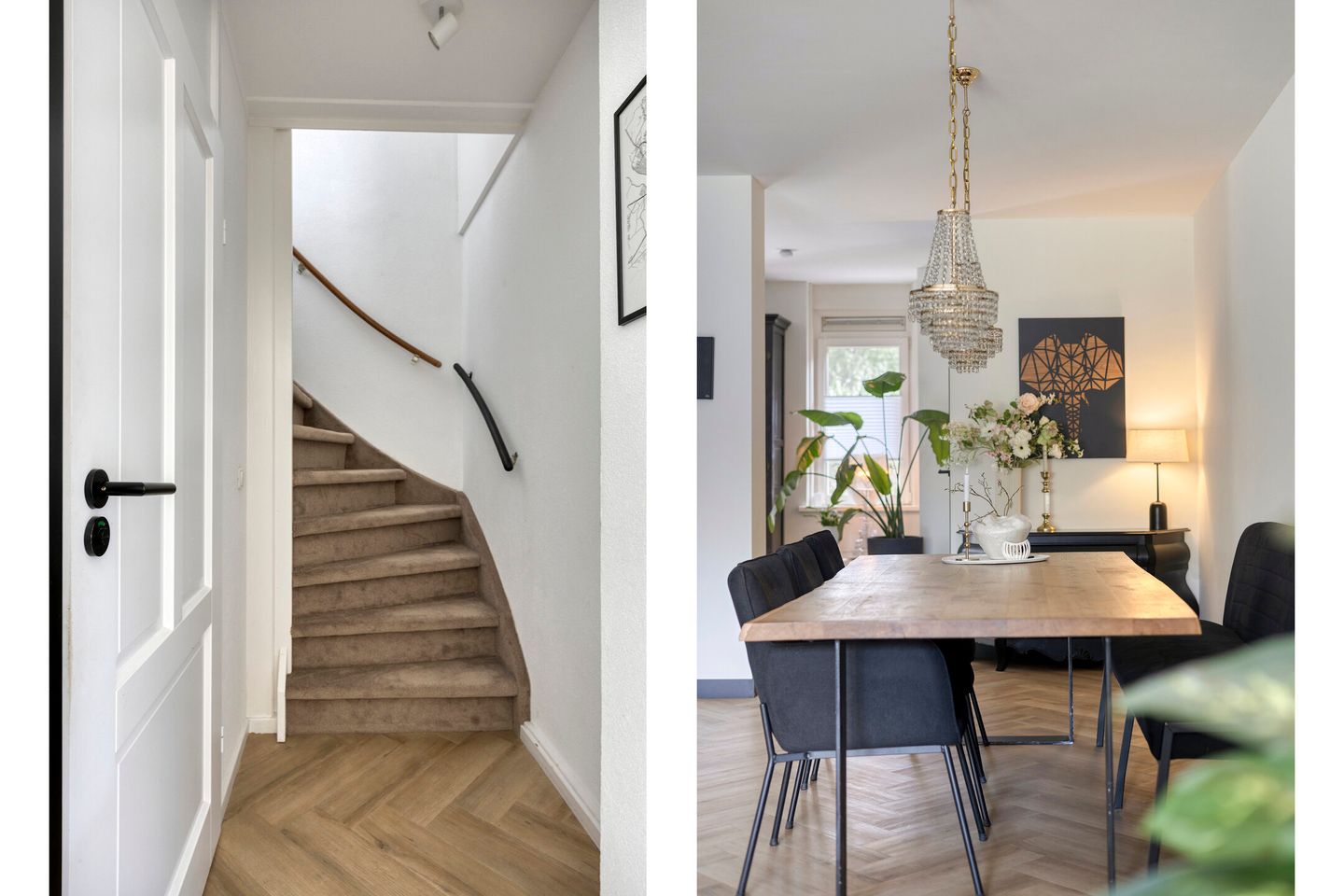 Photo 14 of Bereklauw 65