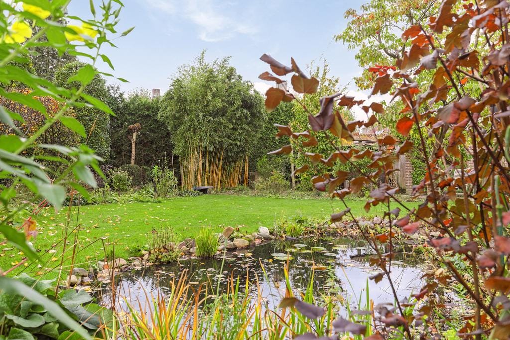 Photo 37 of Europalaan 4